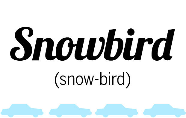 Snowbird
